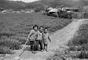 Andong, 1975