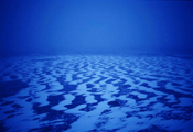 Untitled #30, Barents Sea, 2000