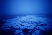 Untitled #31, Barents Sea, 2000